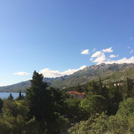 Apartments Villa Jusup Starigrad Paklenica Bagian luar foto